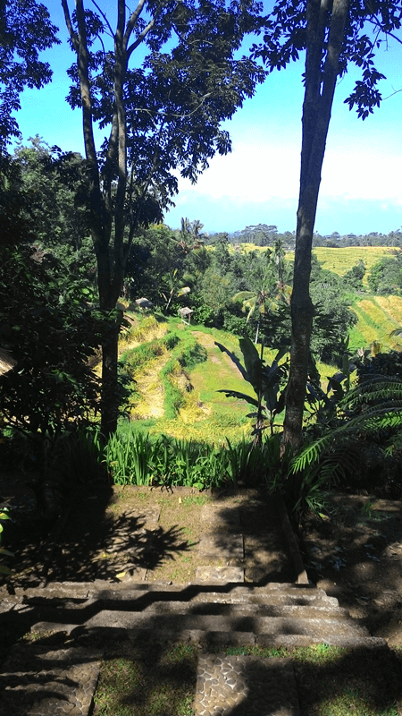 Suasana Belajar Pertanian