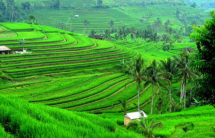 Panorama Alam dan Permandian Air Panas